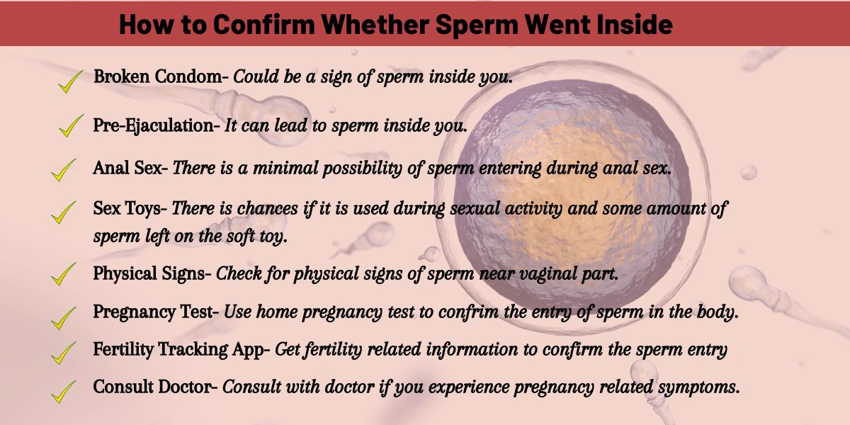how to confirm whether sperm went inside 