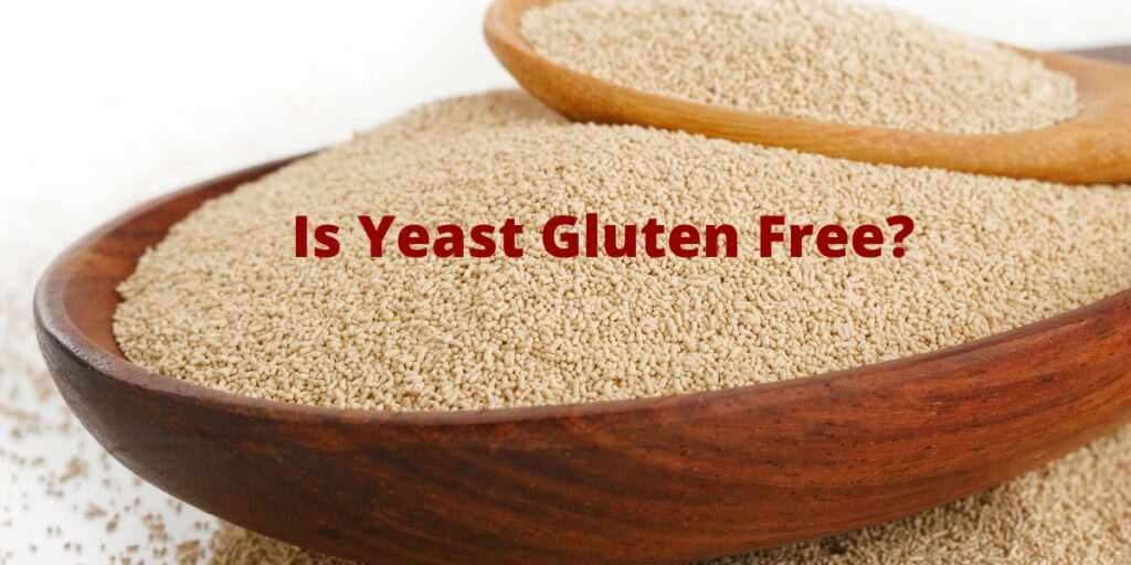 Is yeast gluten free